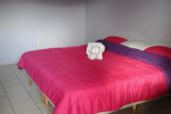 Tropical Hotel (Suffisant Dorp)